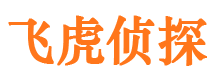 马龙市侦探调查公司